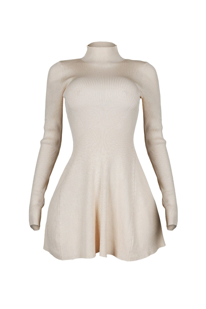 Chrissy A-Line Sweater Mini Dress