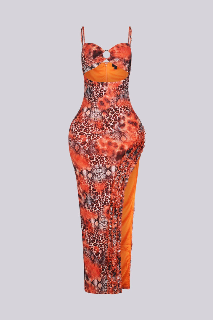 Heatwave Mesh Print Maxi Dress