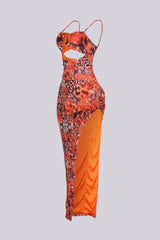 Heatwave Mesh Print Maxi Dress
