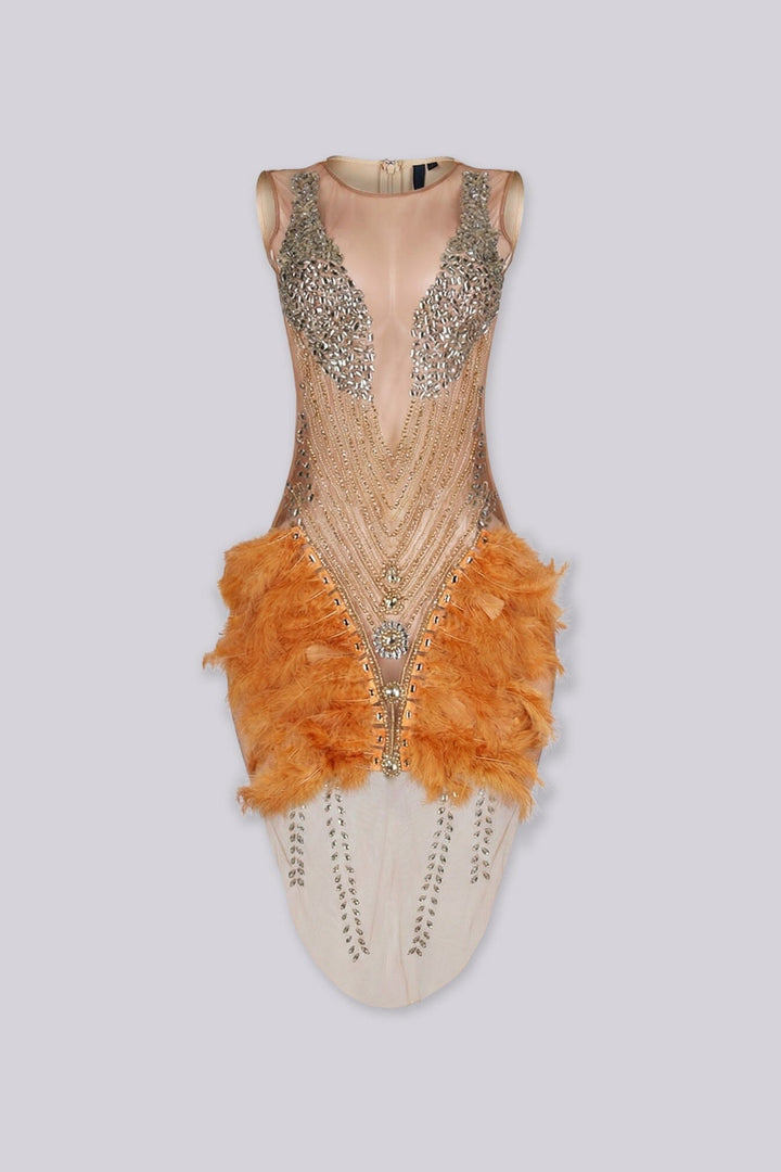 Flaire Mesh Mini Dress With Feather &amp; Rhinestone