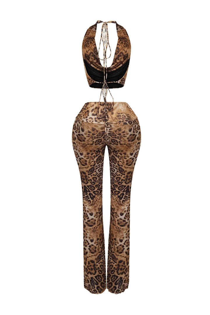 Katherine Mesh Leopard Top &amp; Pants SET