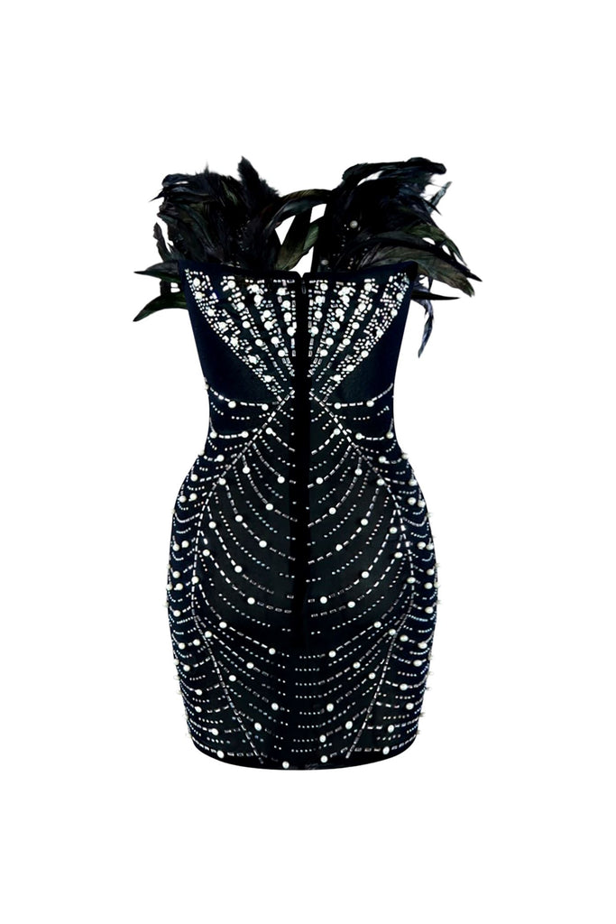 Black Swan Feather And Rhinestone Dress Dresses EDGE 