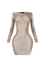 Night To Remember Sheer Mini Dress