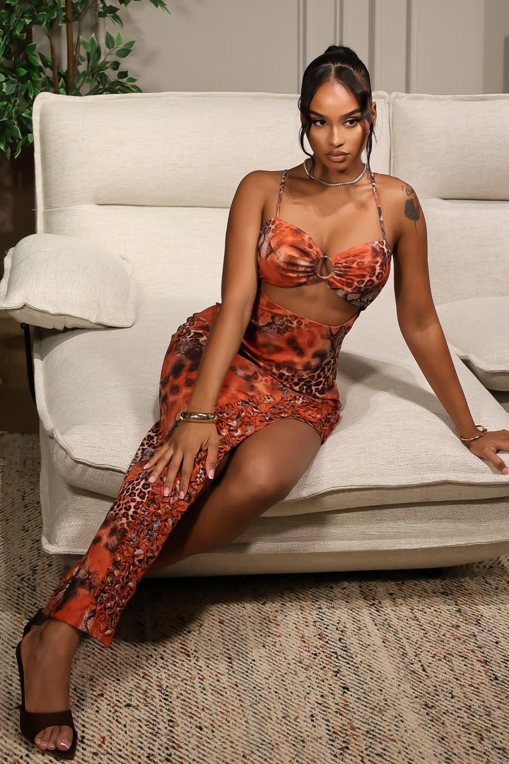 Heatwave Mesh Print Maxi Dress