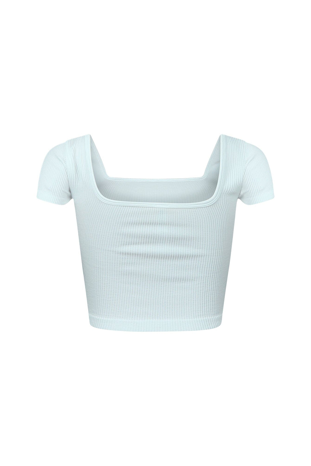 Camille Ribbed Short Sleeve Crop Top