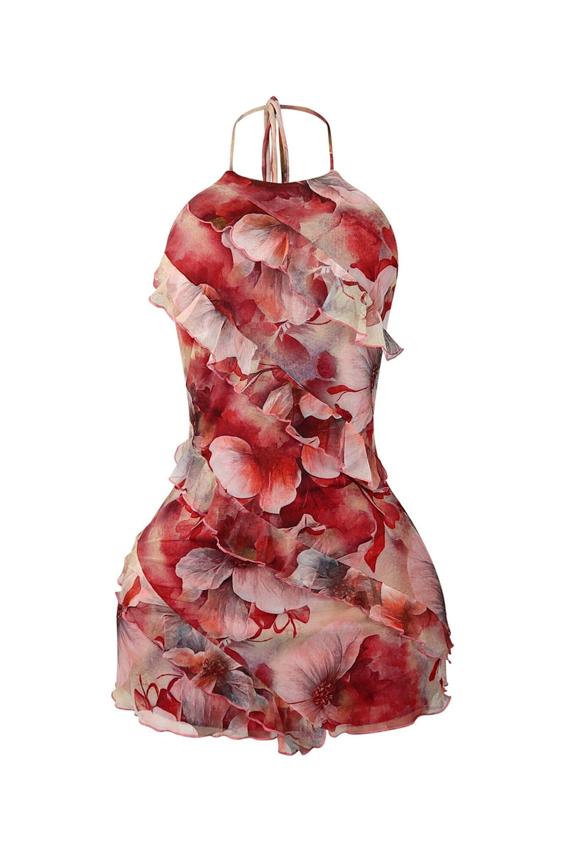 Curve Hope Had Died Mesh Dress