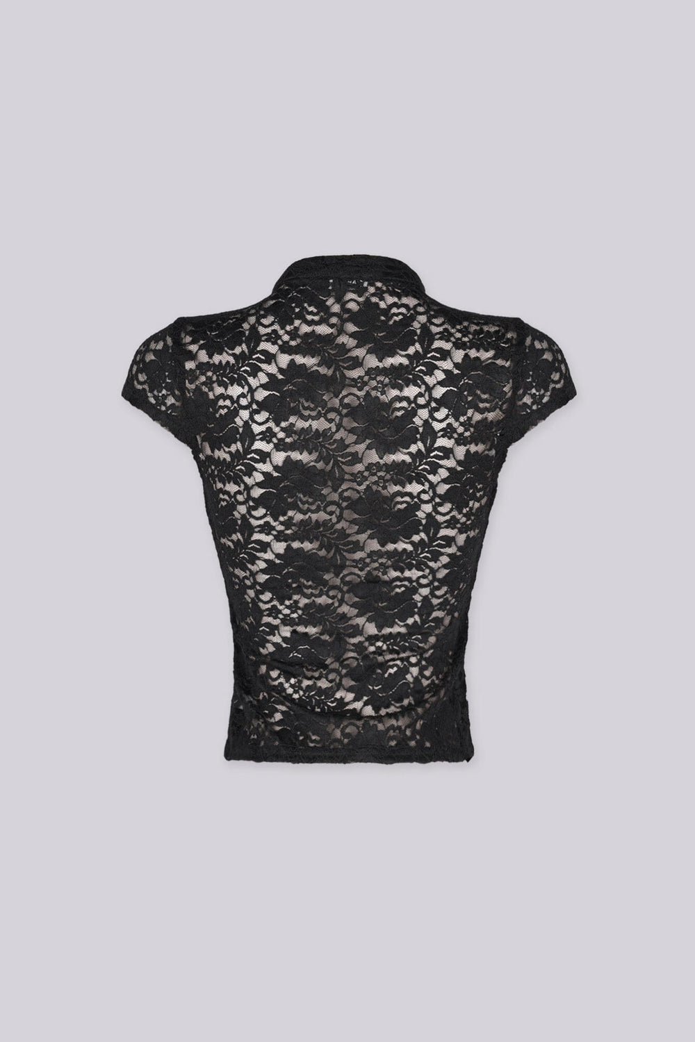 Sheer floral lace fitted crop top with mandarin collar and cap sleeves