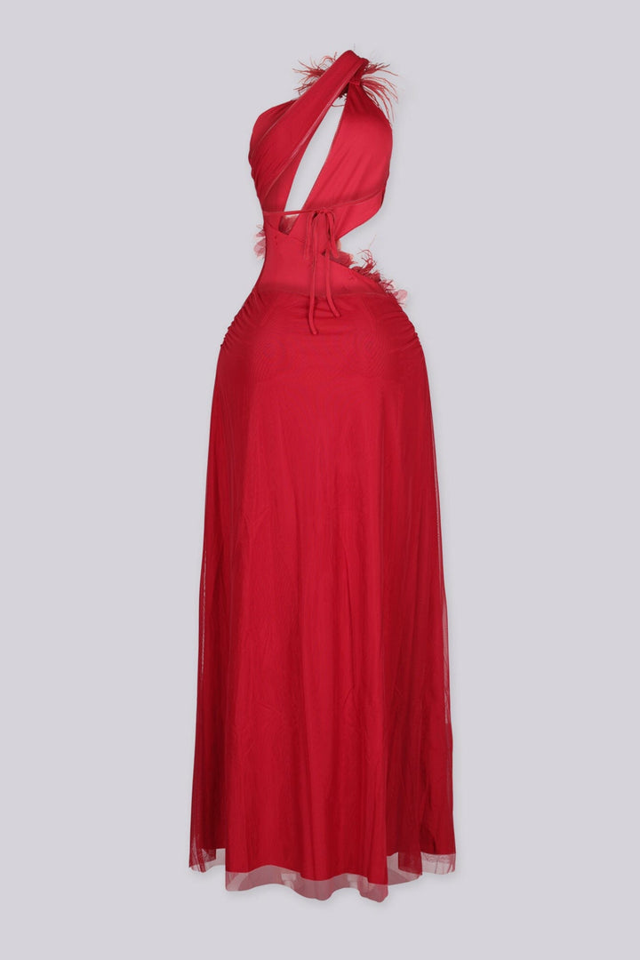 EDGEBYKS - Mesh one shoulder maxi dress with a plunging cutout waist, red back view