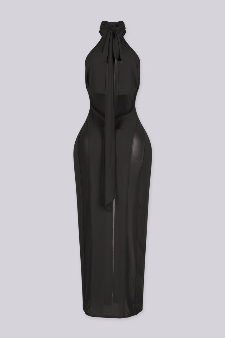 Sheer mock neck midi dress with mesh teardrop cutout in front bodice, back view