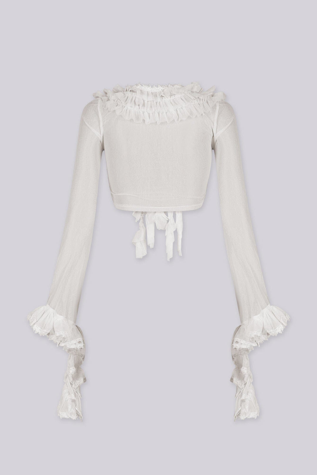 Sheer, long-sleeve cropped blouse with matching lace trim flared sleeves