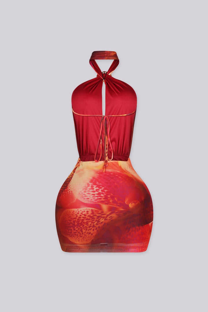 Sheer mesh halter mini dress featuring an adjustable shell shaped hardware detail
Fully open back with adjustable tie back straps