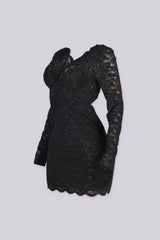Noor Floral Lace Plunge Mini Dress