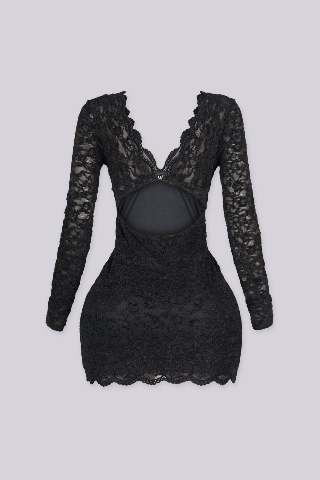 Noor Floral Lace Plunge Mini Dress