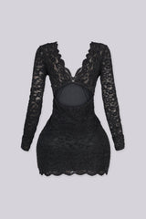 Noor Floral Lace Plunge Mini Dress
