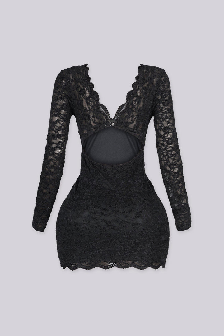 Noor Floral Lace Plunge Mini Dress