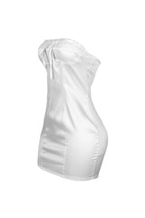 Satin tube mini dress with vertical seam construction featuring ruffled lace edging trimmed neckline