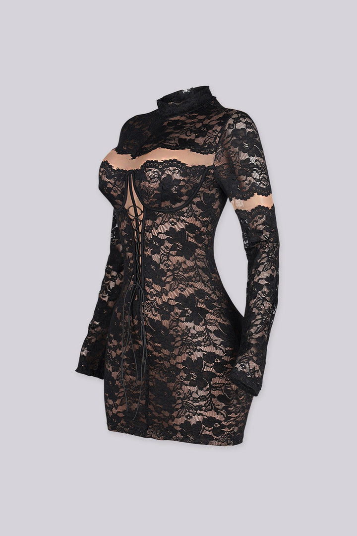 Sheer floral lace mini dress with high mock neckline and long fitted sleeves featuring lace up detailing at center front