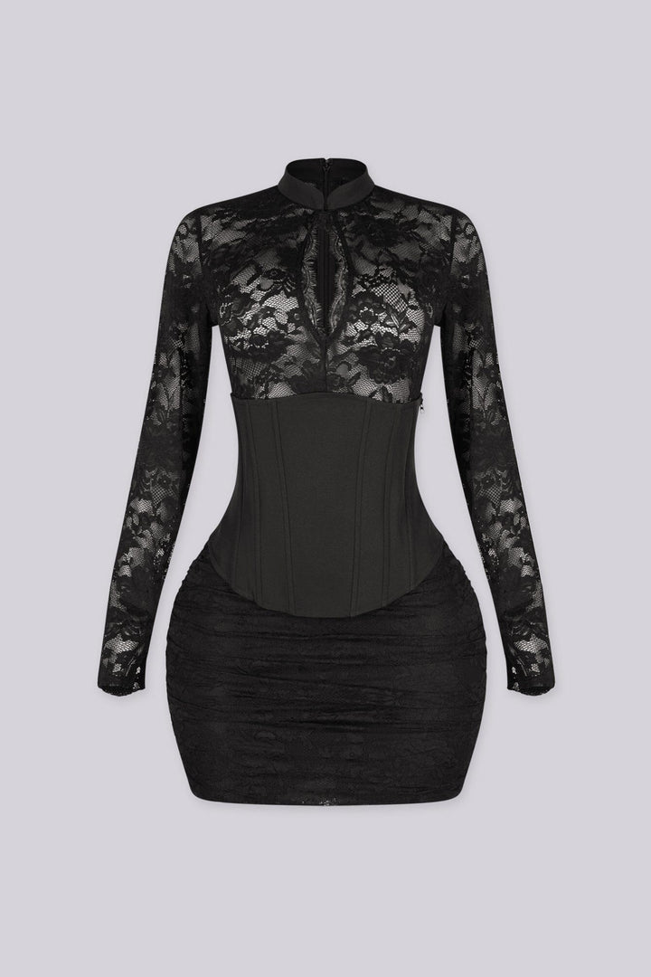 Mock neckline fitted mini dress with a sheer floral lace bodice and sleeves