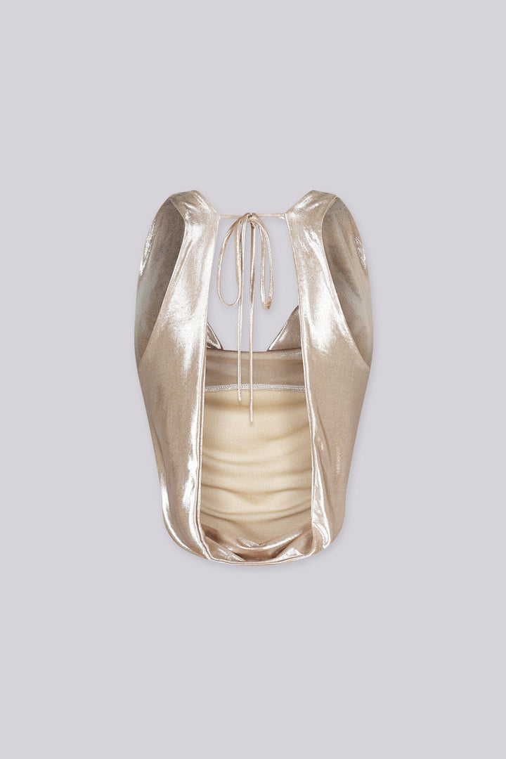 EDGEBYKS - Metallic sheened top with a deep cowl neckline and a draped cowl back, back view