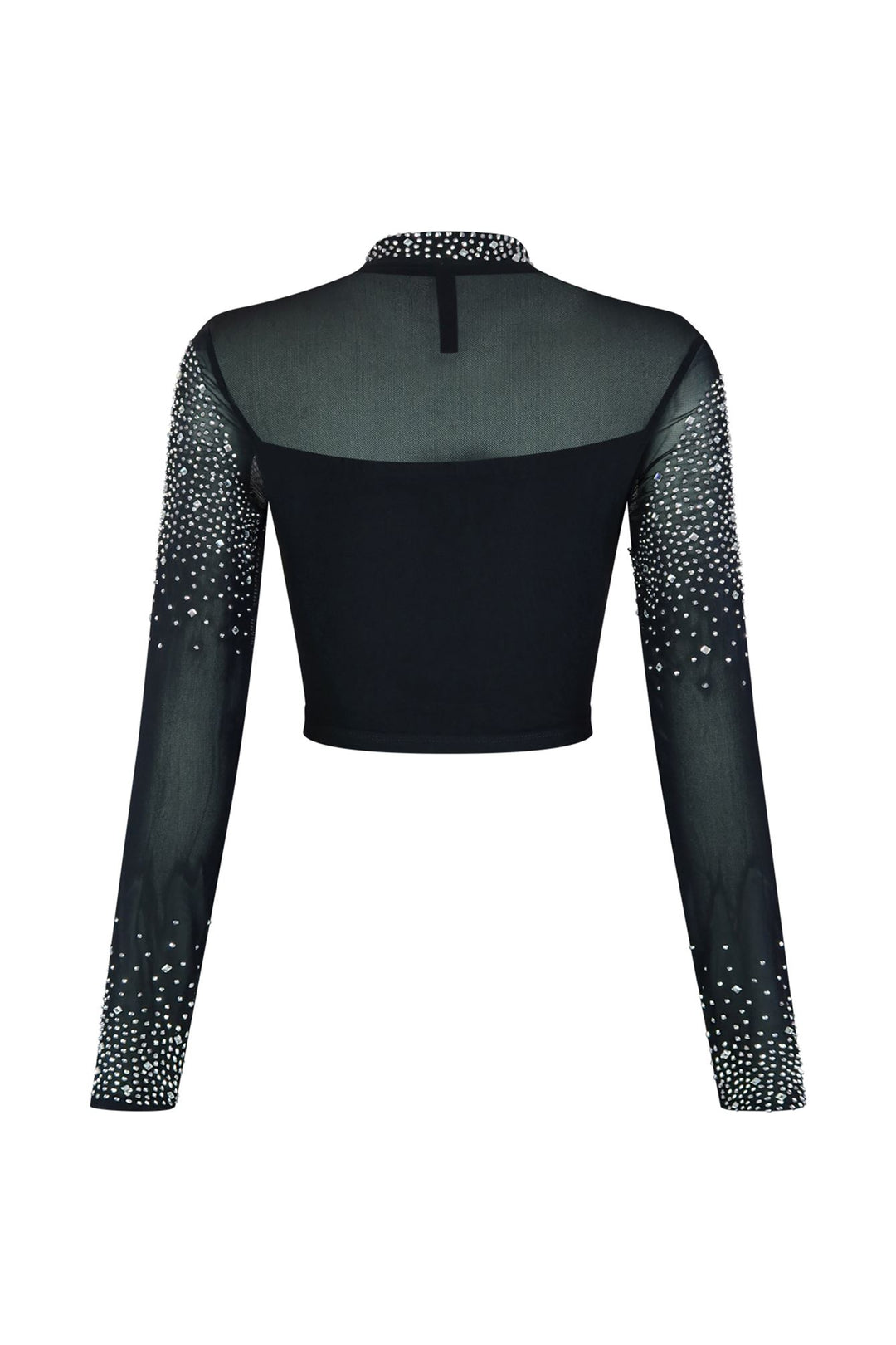 Galore Rhinestone Mesh Top Crop Top EDGE 