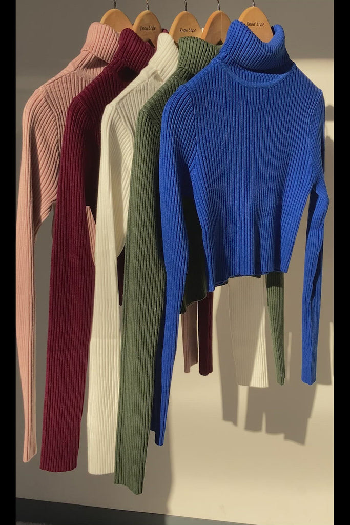 Make A Wish Ribbed Turtle Neck Crop Top - Burgundy/Blue/White/Pink/Olive - KNOWSTYLE - EDGE - EDGEONLINESTORE